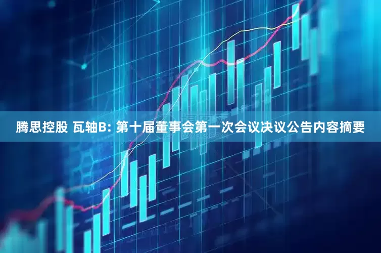 腾思控股 瓦轴B: 第十届董事会第一次会议决议公告内容摘要