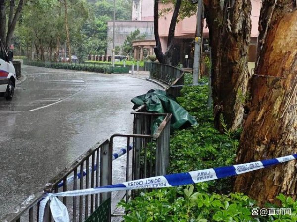 盈配网 香港“无头尸”头颅已被找到，死者系54岁外籍男子，留有遗书称“想去一个平静的地方”