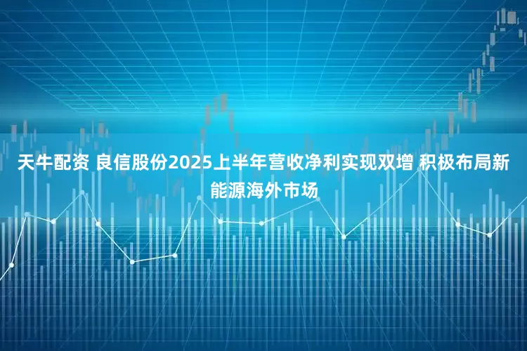 天牛配资 良信股份2025上半年营收净利实现双增 积极布局新能源海外市场