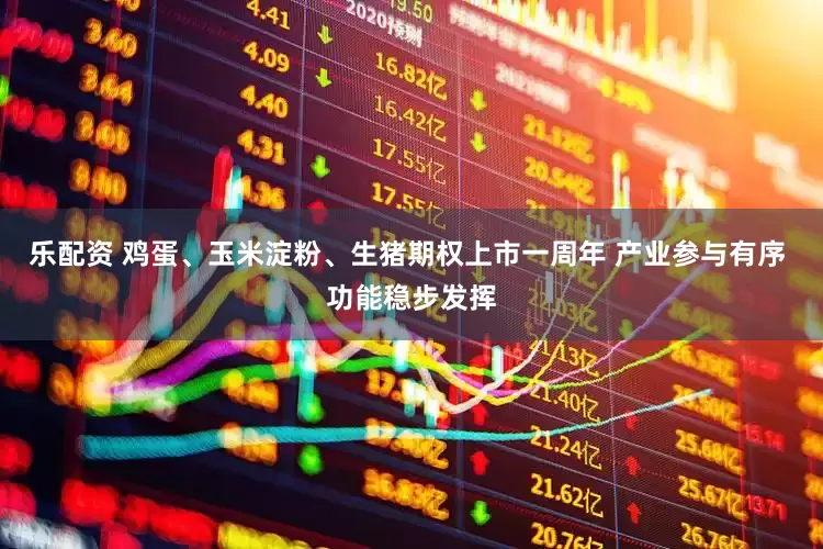 乐配资 鸡蛋、玉米淀粉、生猪期权上市一周年 产业参与有序 功能稳步发挥
